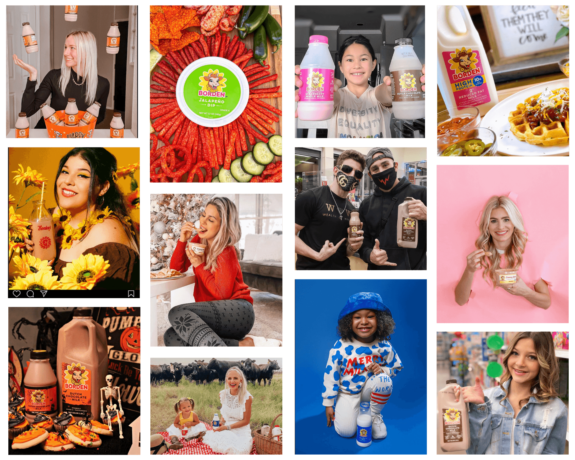 Dairy Page - Borden Influencer Collage.png